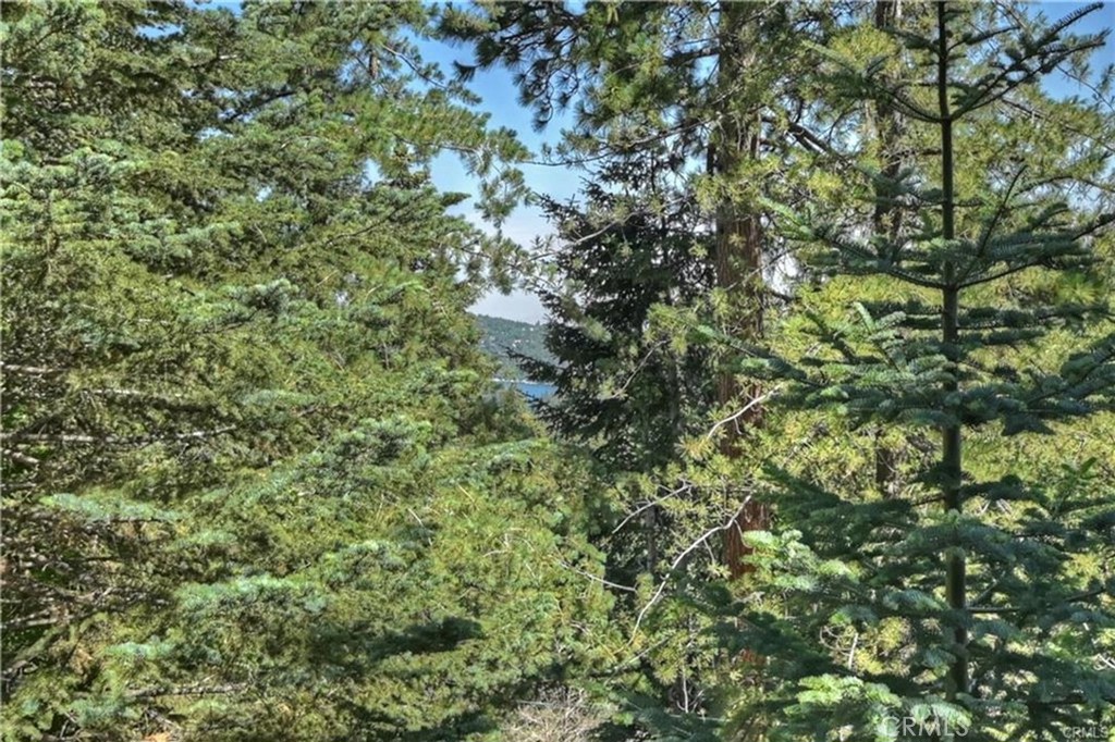 MLS #IG25259342 image #1