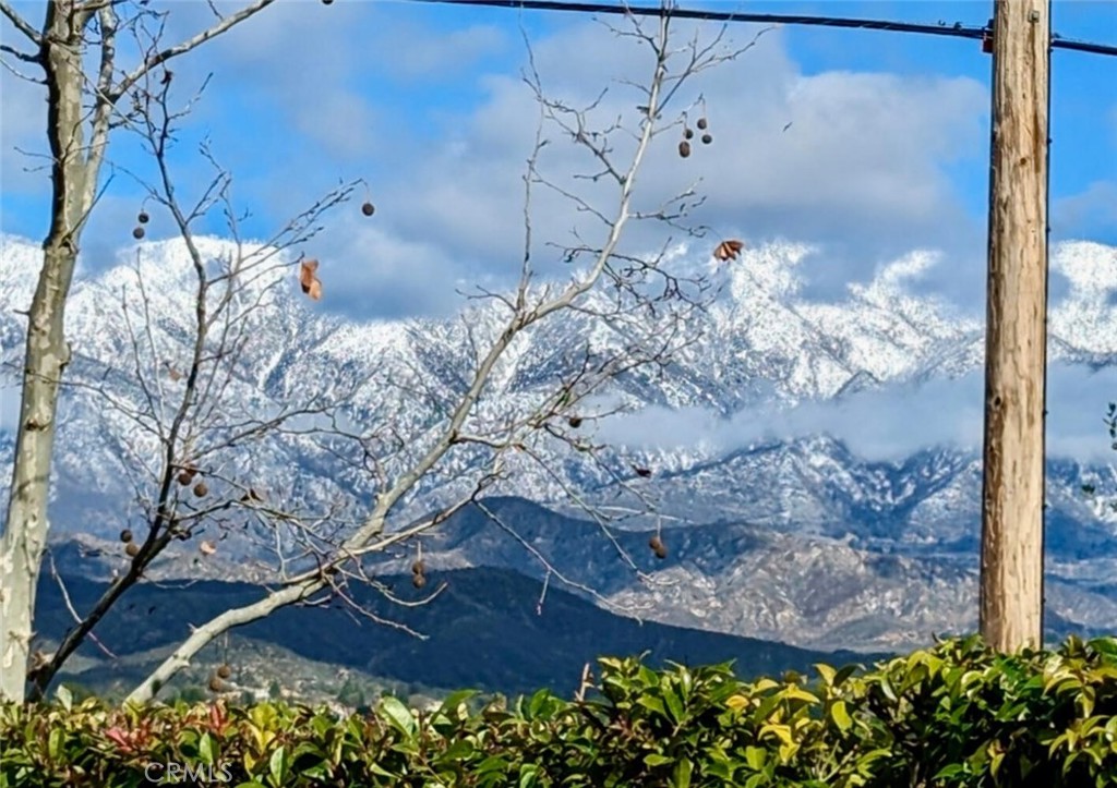 MLS #IG25259539 image #58