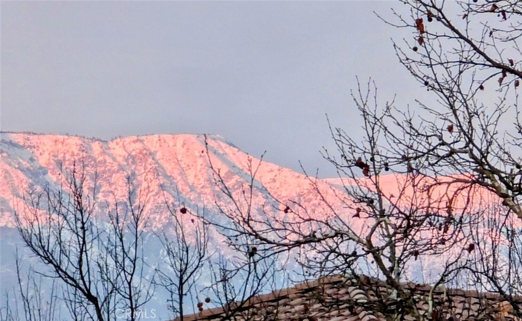 MLS #IG25259539 image #59