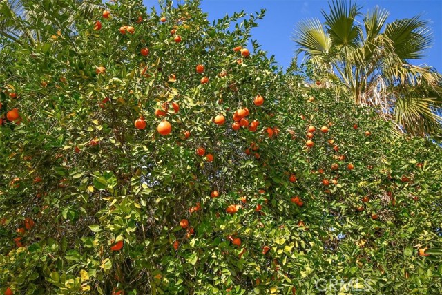 MLS #IG25262953 image #37