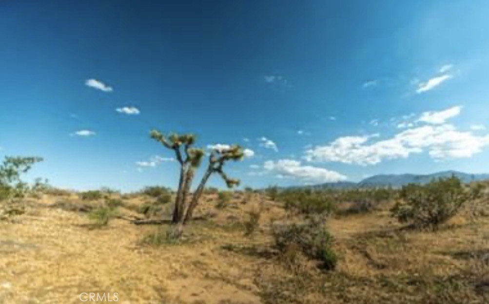 MLS #IG25264203 image #14