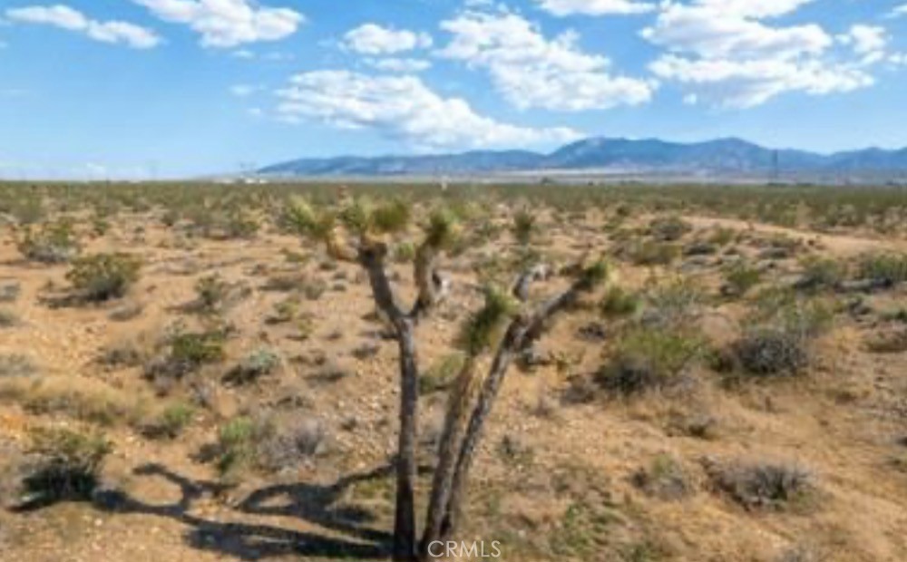 MLS #IG25264203 image #15