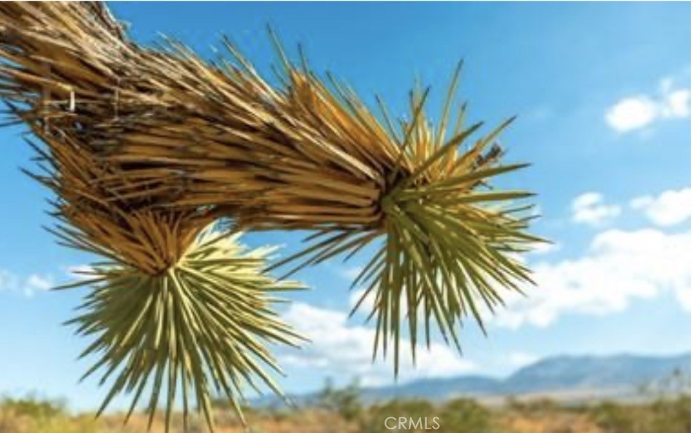 MLS #IG25264203 image #16