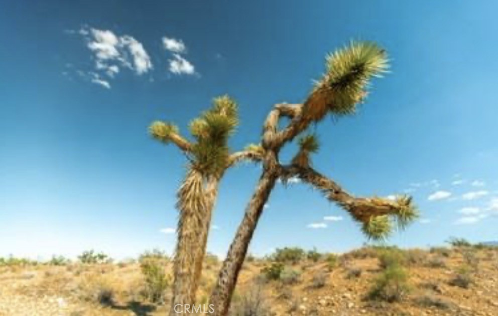 MLS #IG25264203 image #17