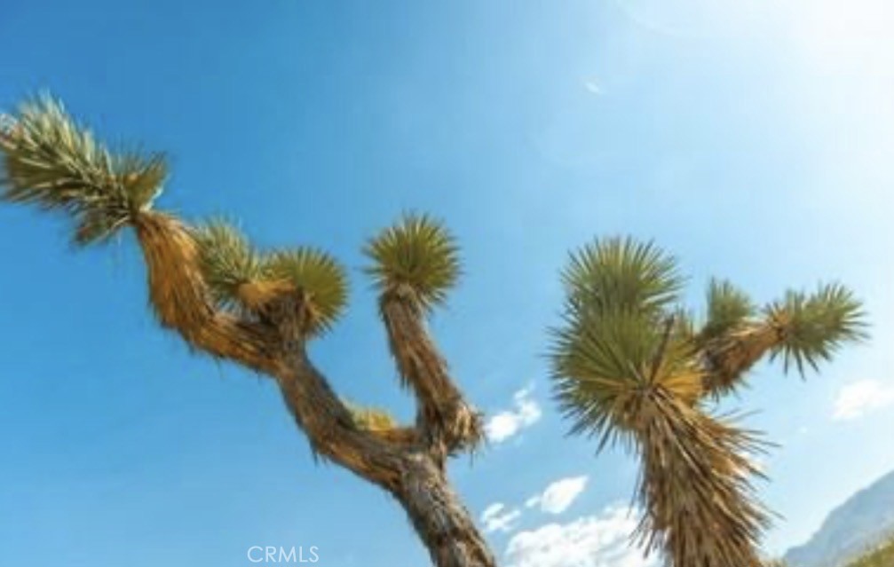 MLS #IG25264203 image #2