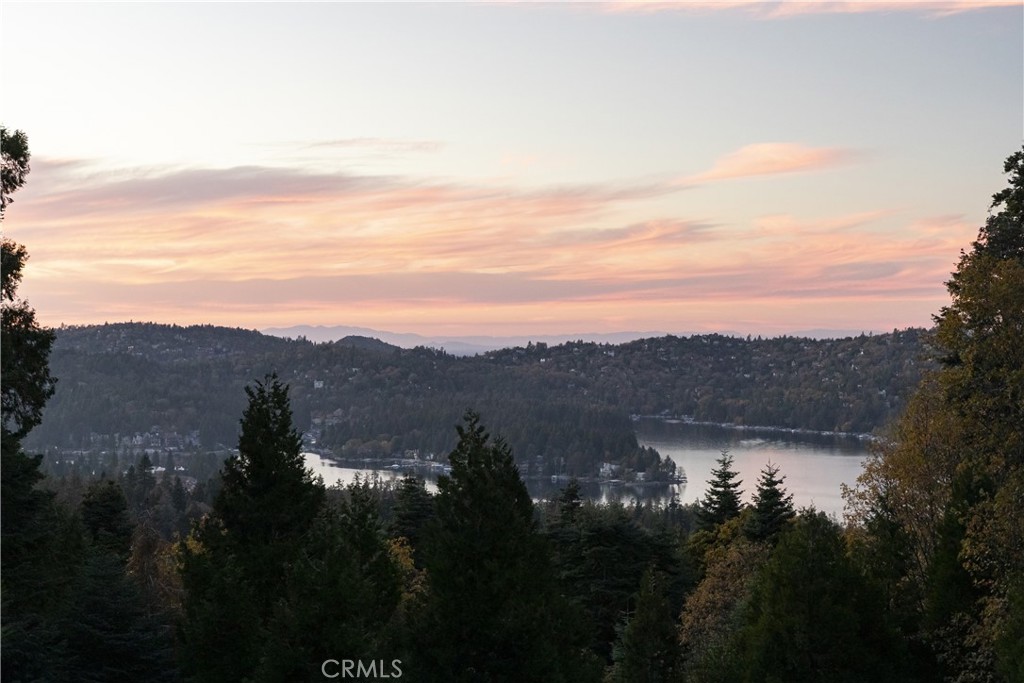 MLS #IG25265287 image #45