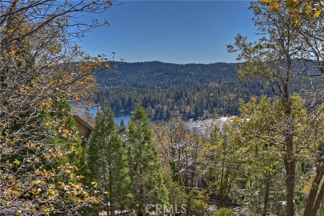 MLS #IG25266292 image #1