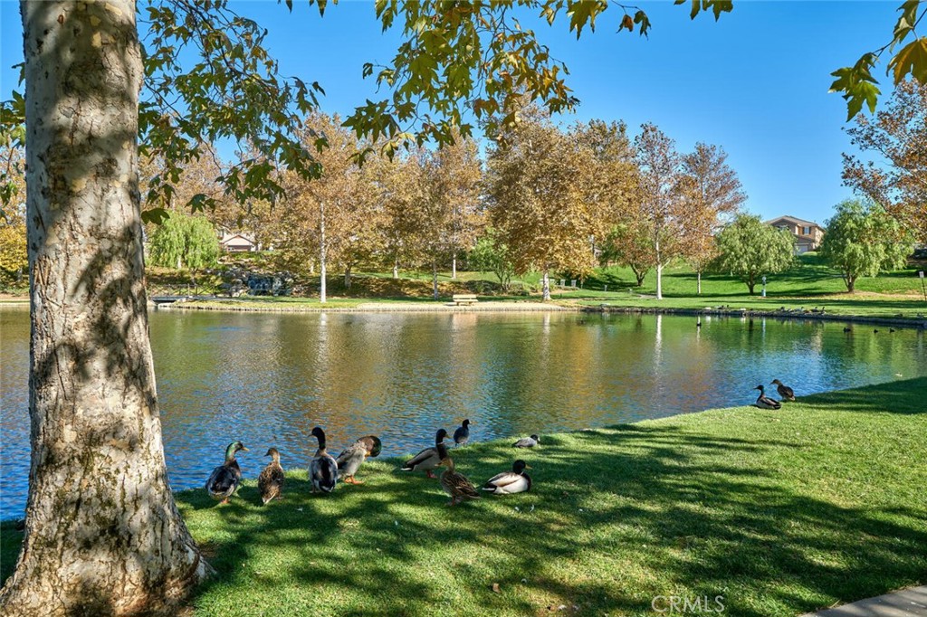 MLS #IG25267017 image #72