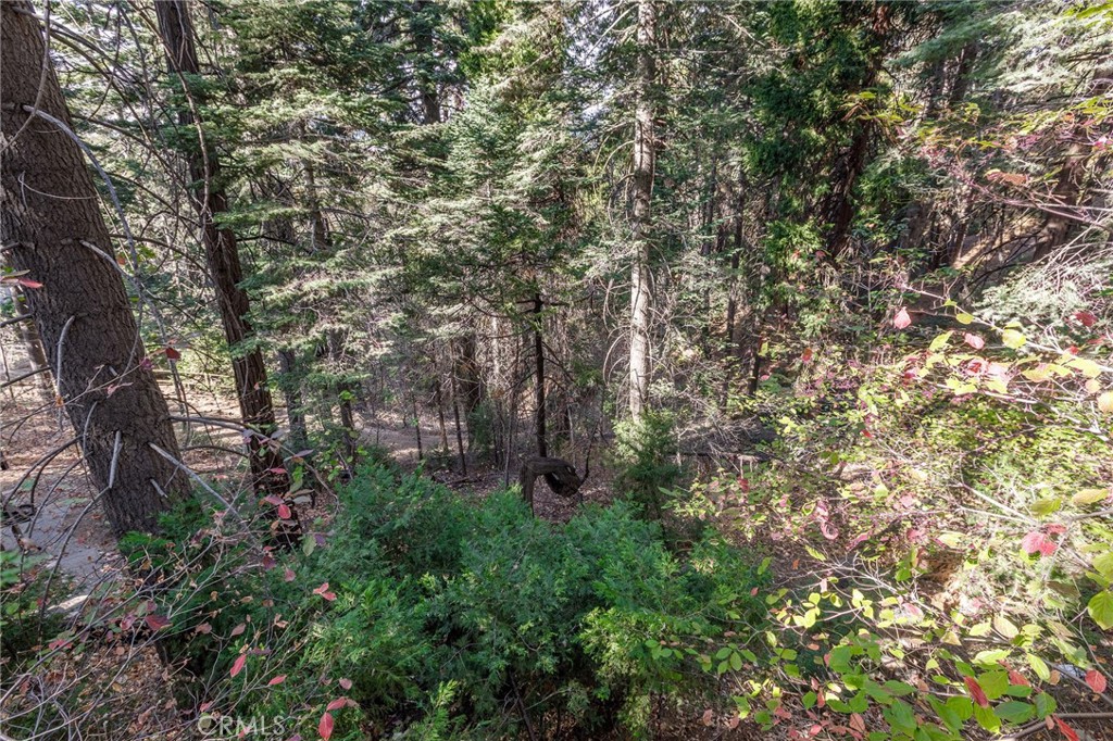 MLS #IG25267430 image #16