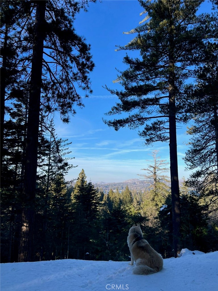 MLS #IG25271978 image #1