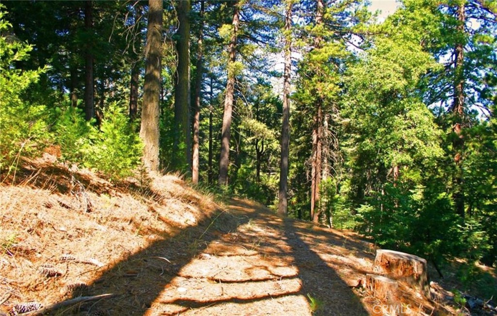 MLS #IG25271978 image #12