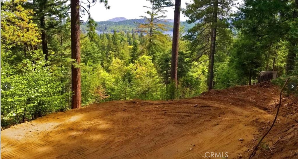 MLS #IG25271978 image #3