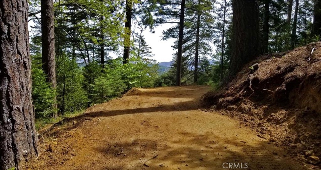 MLS #IG25271978 image #4