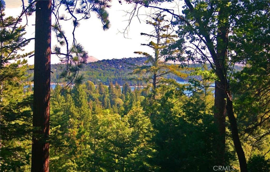 MLS #IG25271978 image #5