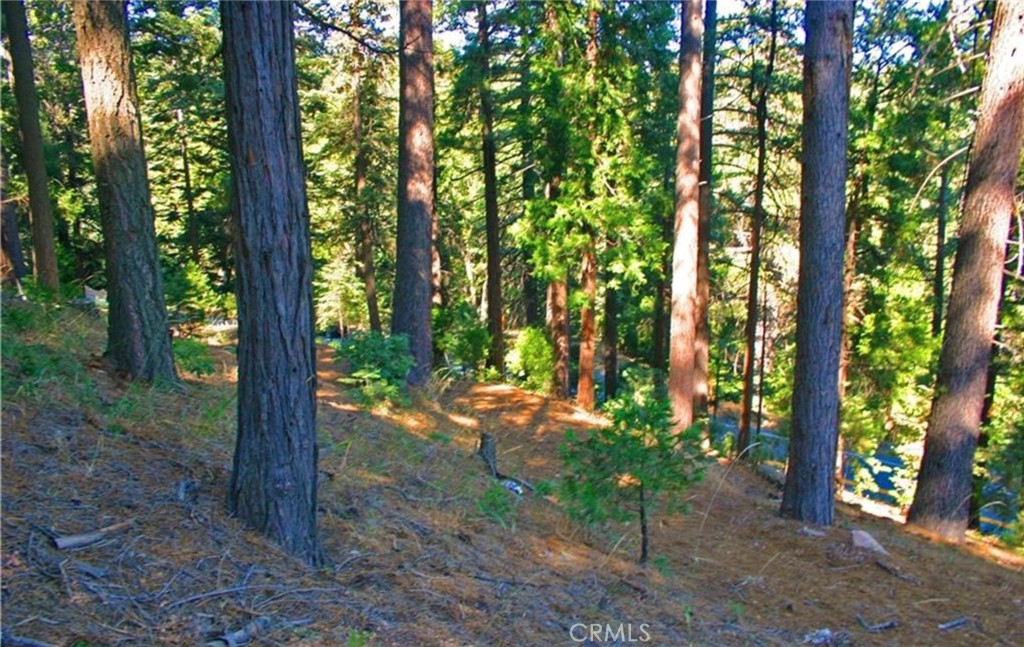 MLS #IG25271978 image #8