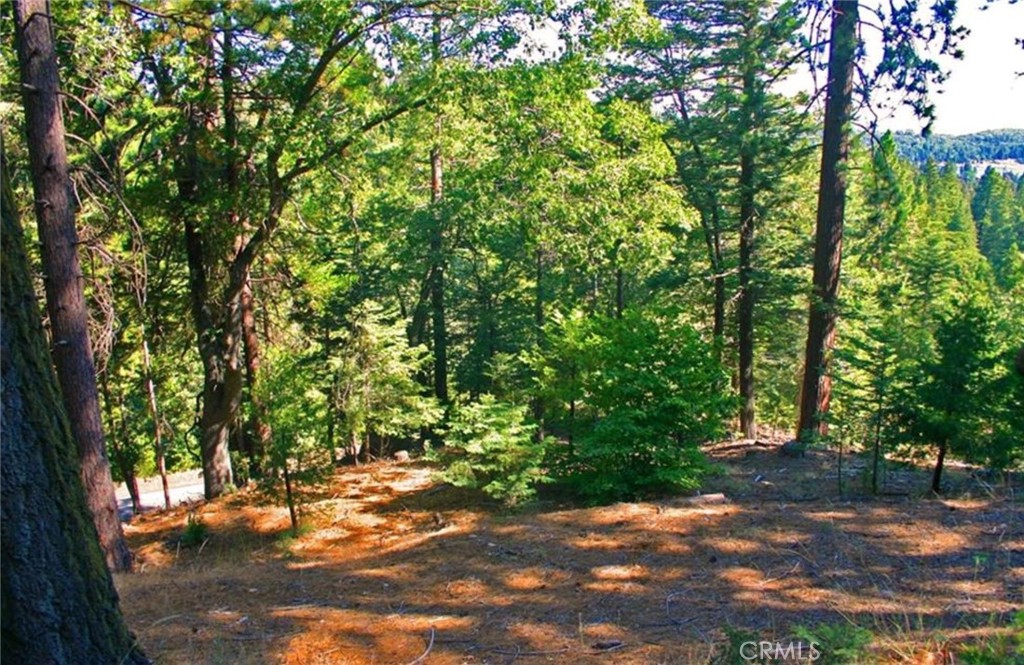 MLS #IG25271978 image #9