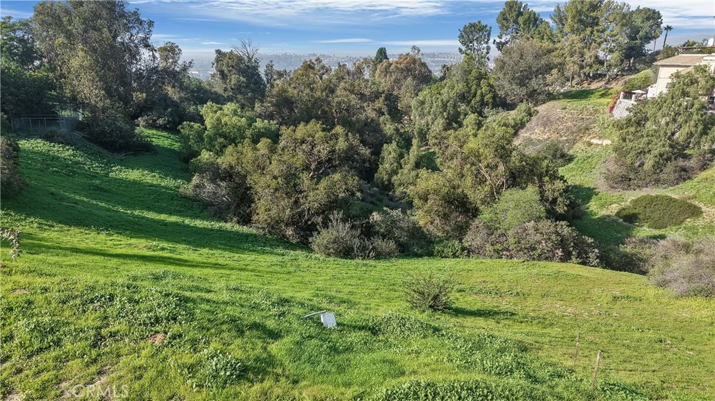 MLS #IG25276070 image #4