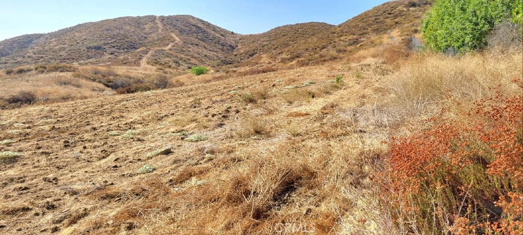 MLS #IV24176919 image #16