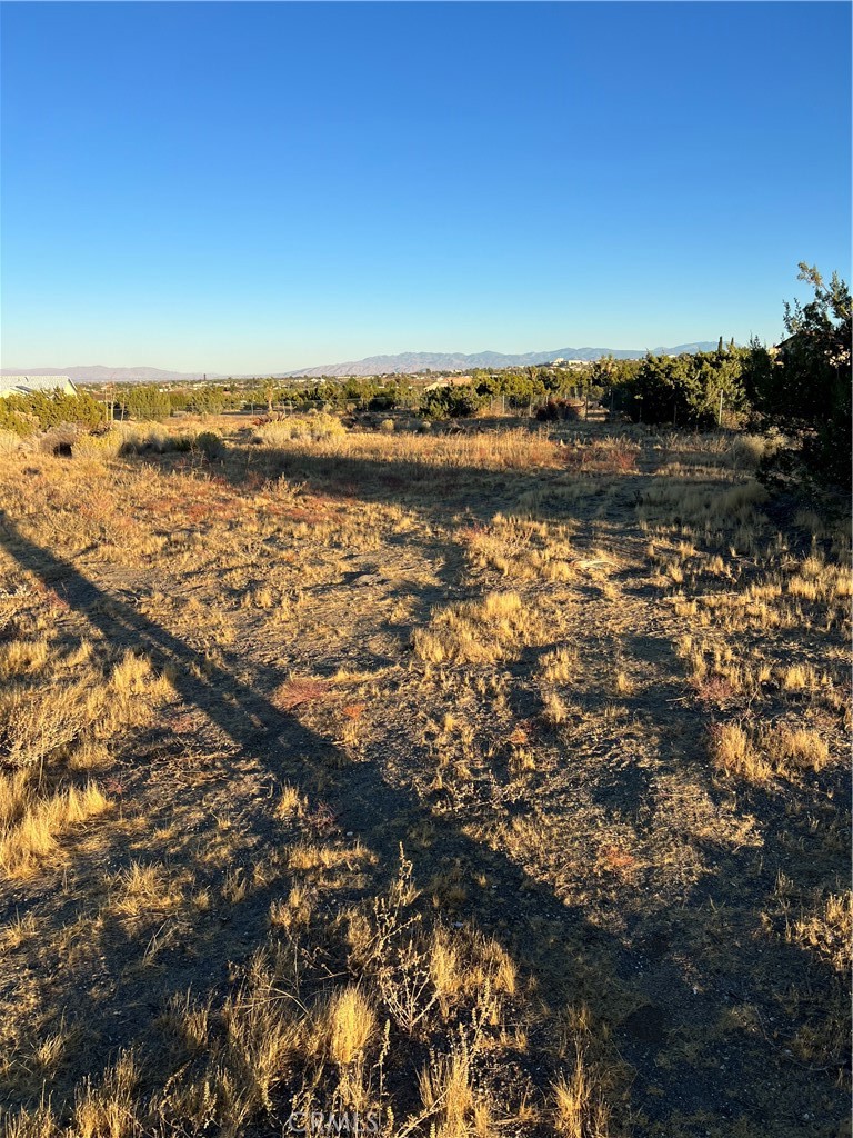 MLS #IV24232960 image #3