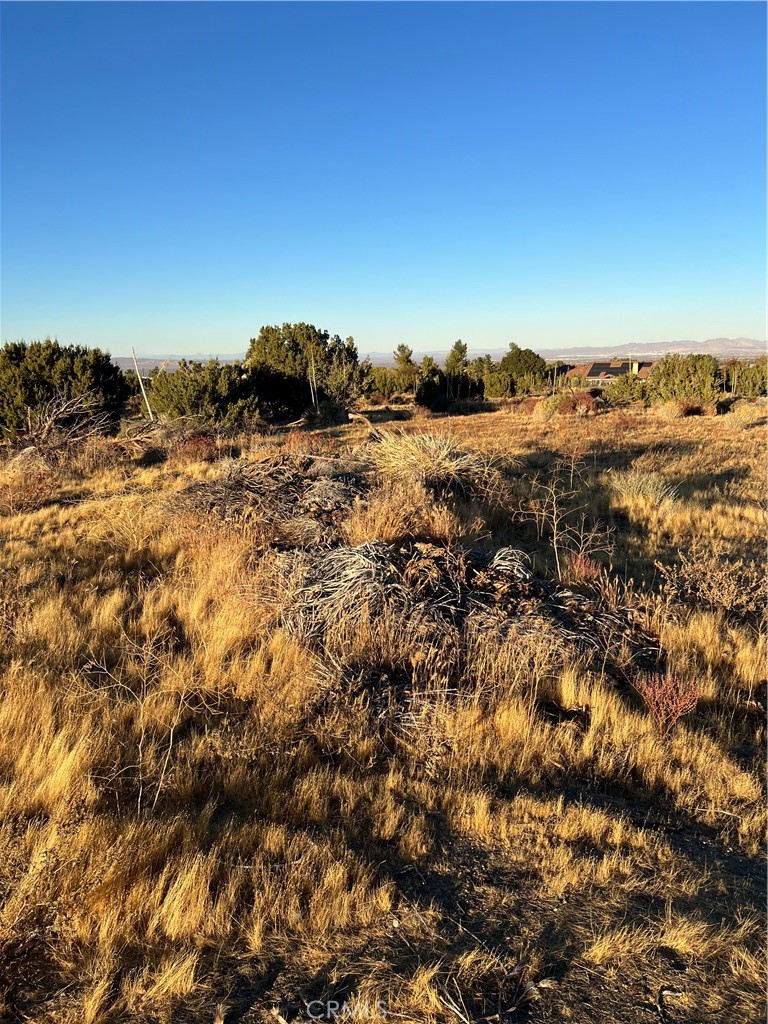 MLS #IV24232960 image #4