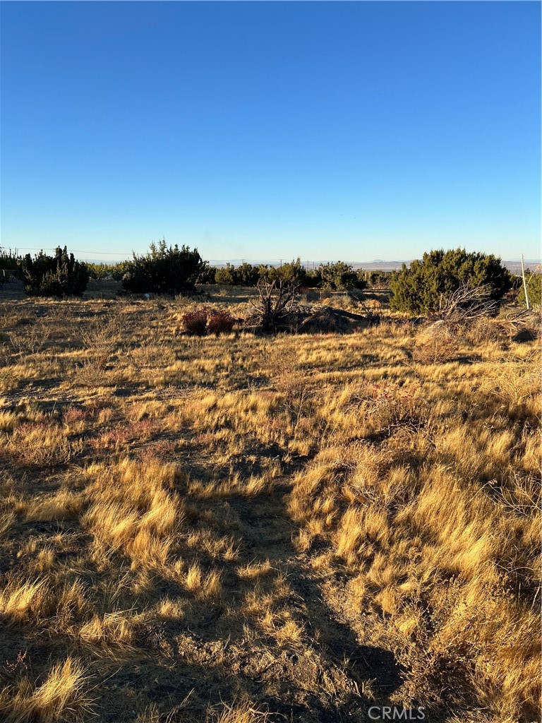 MLS #IV24232960 image #5