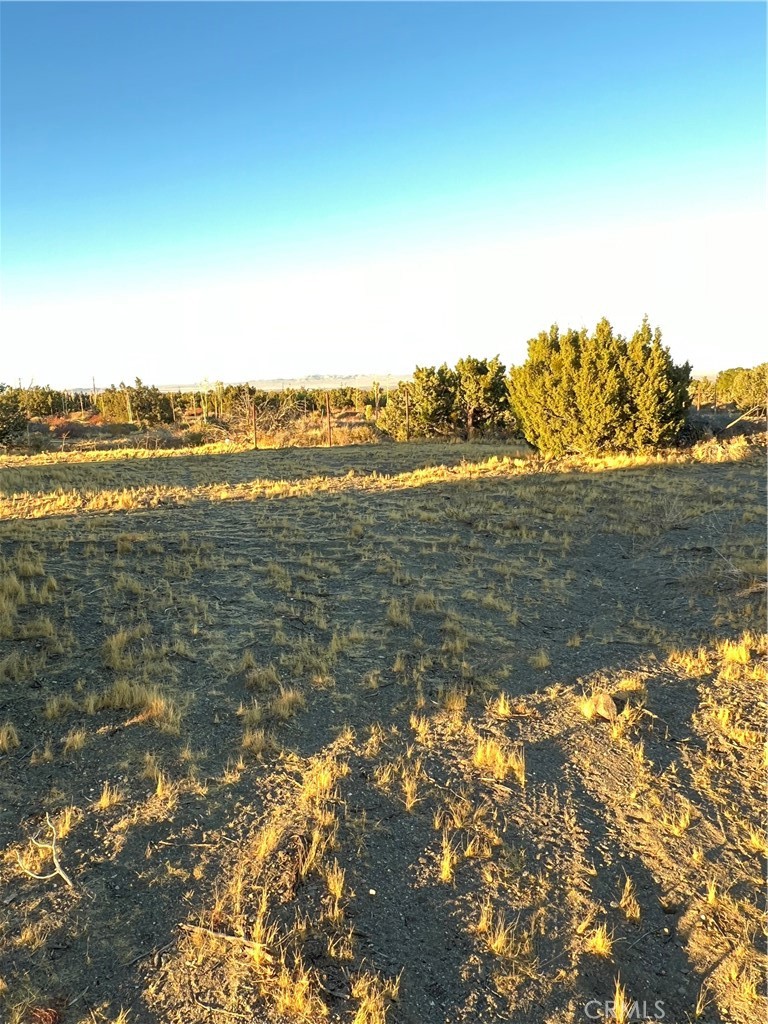 MLS #IV24232960 image #6