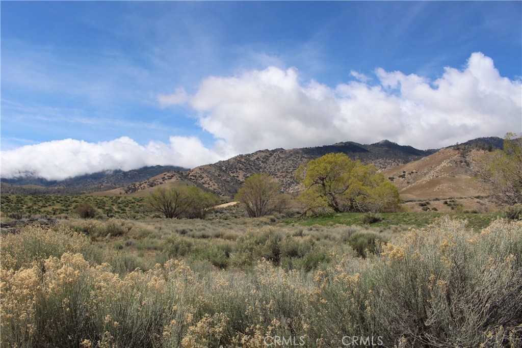 MLS #IV25020965 image #0