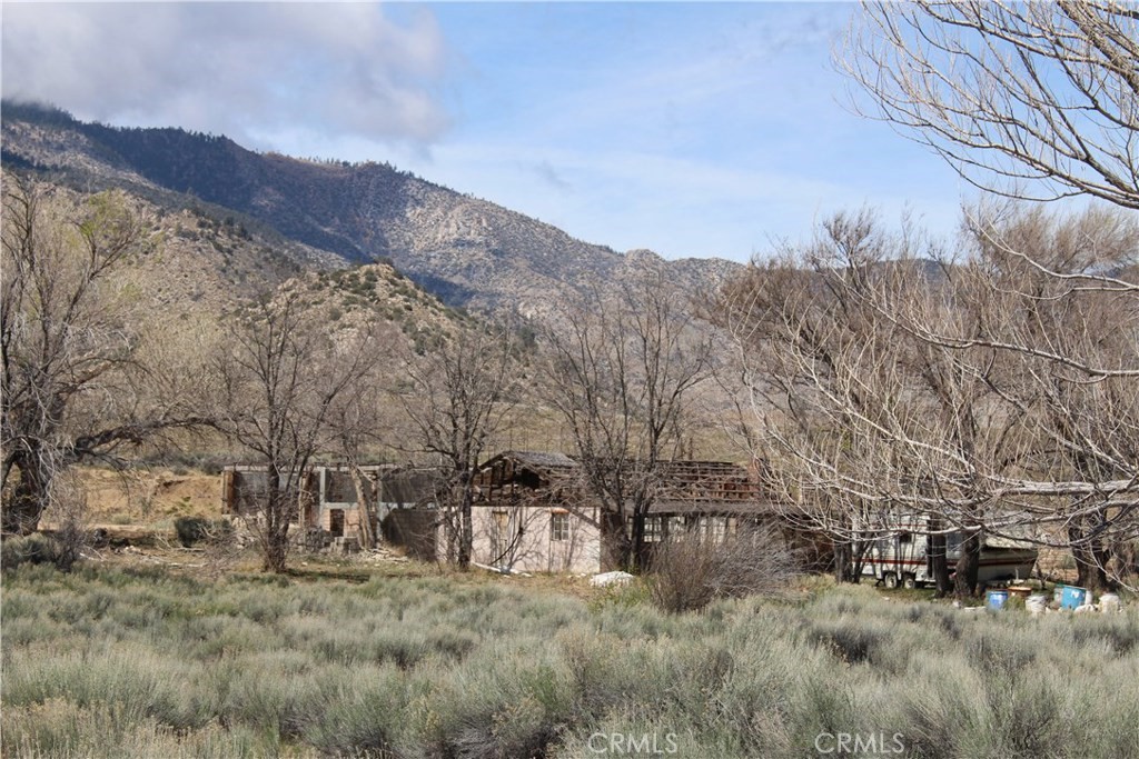 MLS #IV25020965 image #4