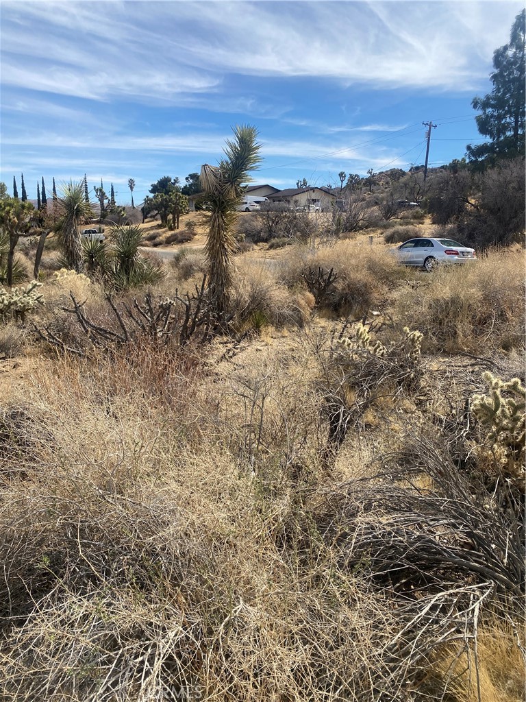 MLS #IV25044615 image #10