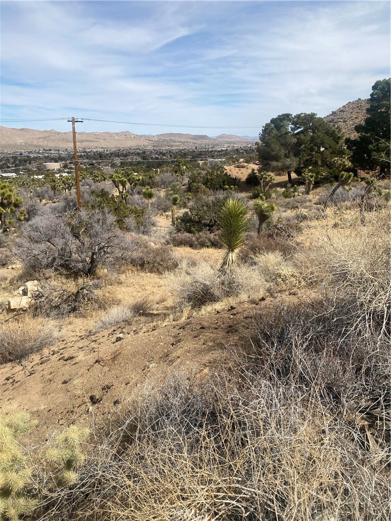 MLS #IV25044615 image #11