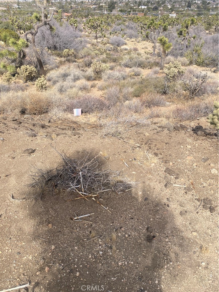 MLS #IV25044615 image #2