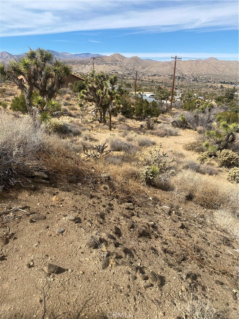 MLS #IV25044615 image #3