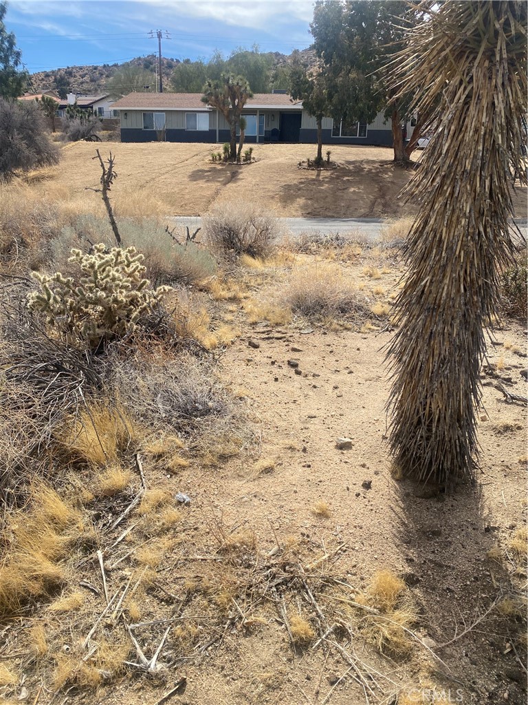 MLS #IV25044615 image #4