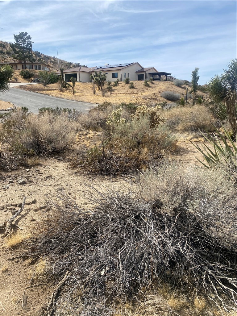 MLS #IV25044615 image #5