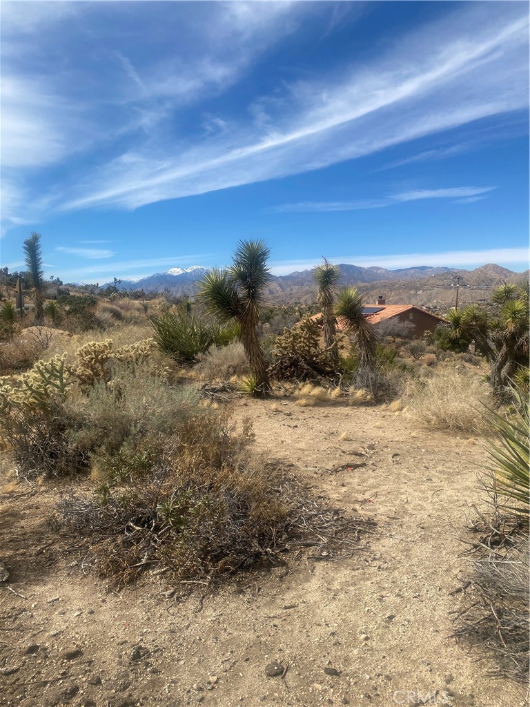 MLS #IV25044615 image #6