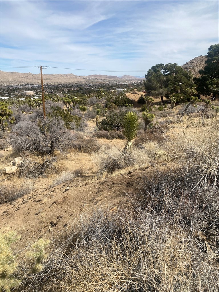 MLS #IV25044615 image #9