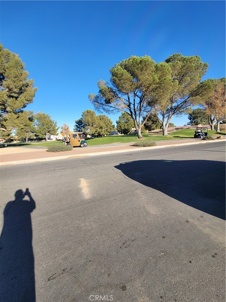 MLS #IV25062456 image #10