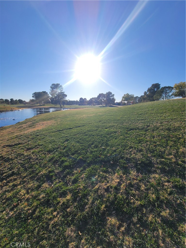 MLS #IV25062456 image #3