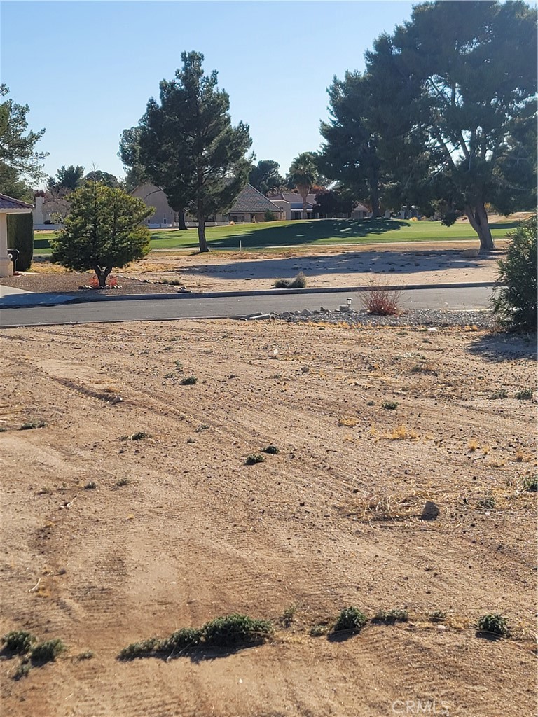 MLS #IV25062456 image #6