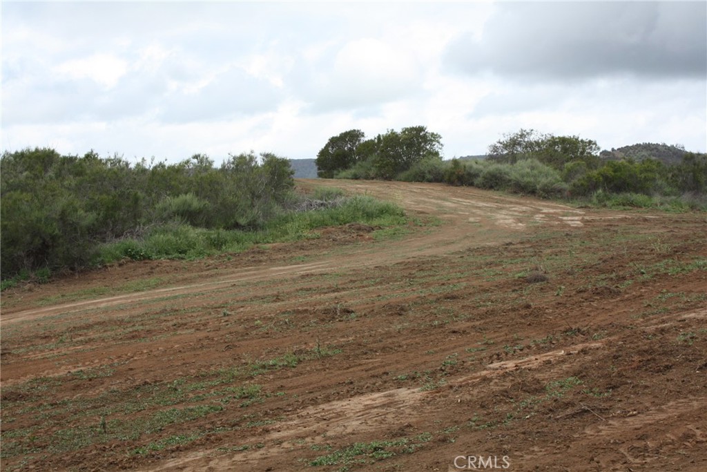 MLS #IV25090600 image #10