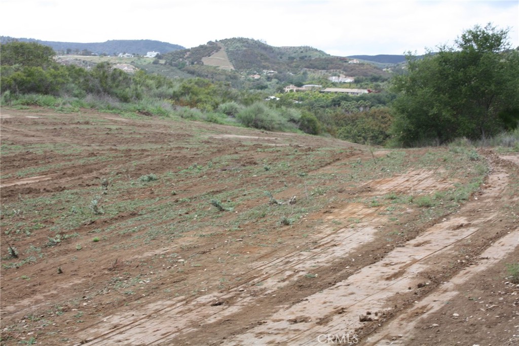 MLS #IV25090600 image #12