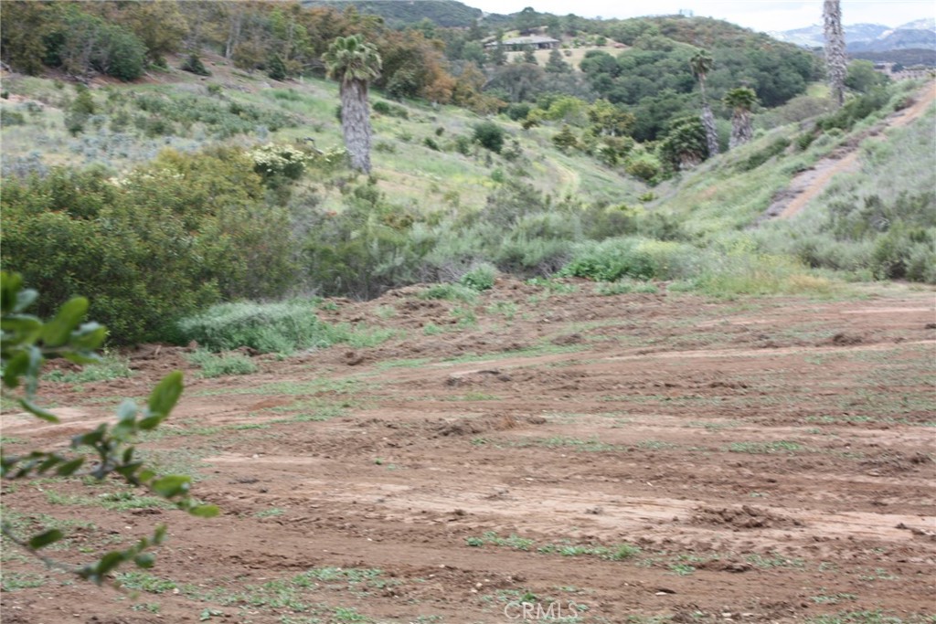 MLS #IV25090600 image #13