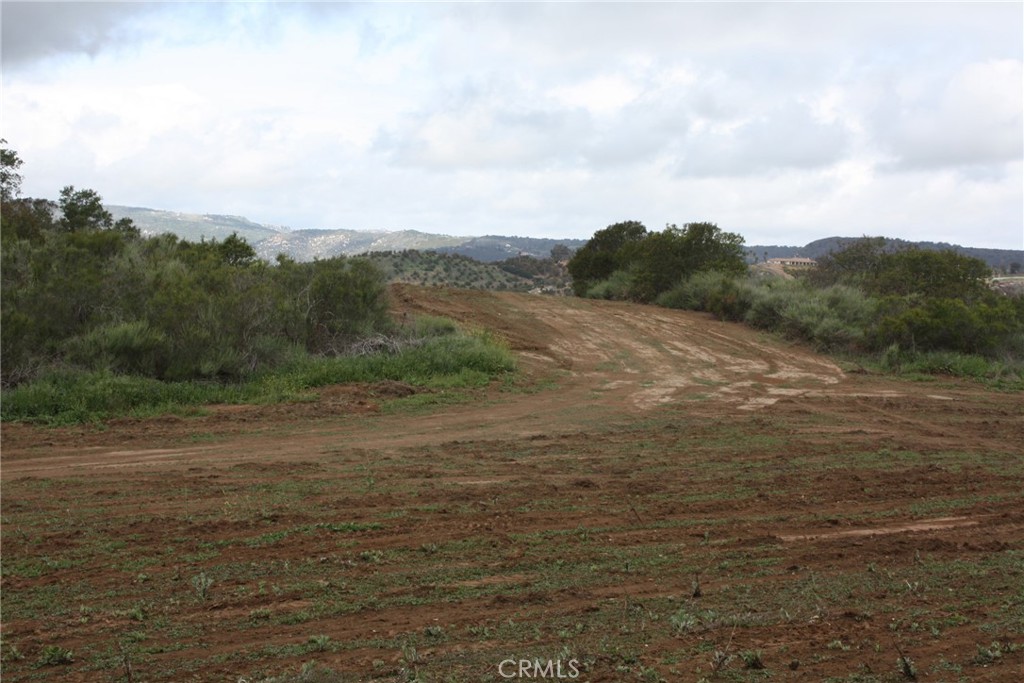 MLS #IV25090600 image #14