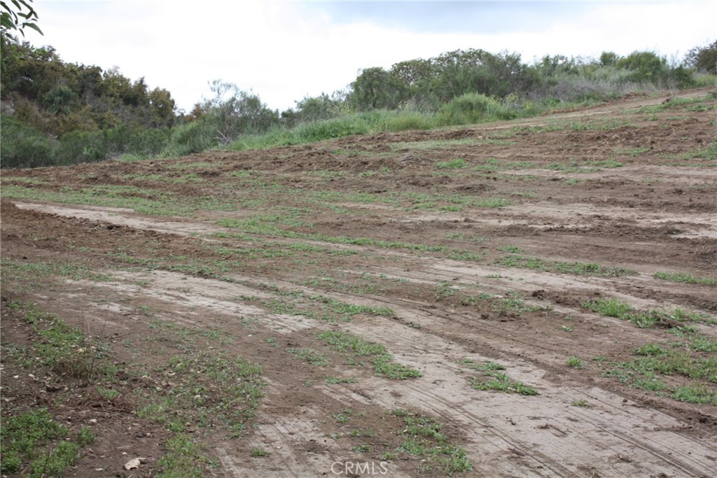 MLS #IV25090600 image #16