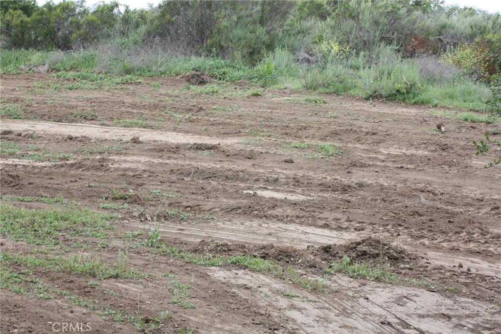 MLS #IV25090600 image #17