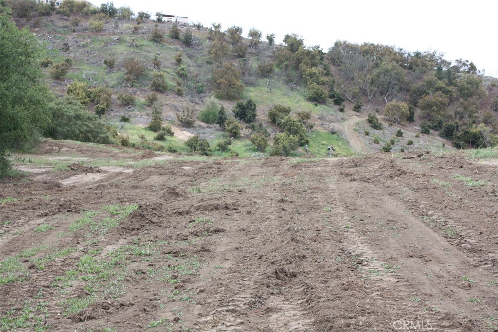 MLS #IV25090600 image #18