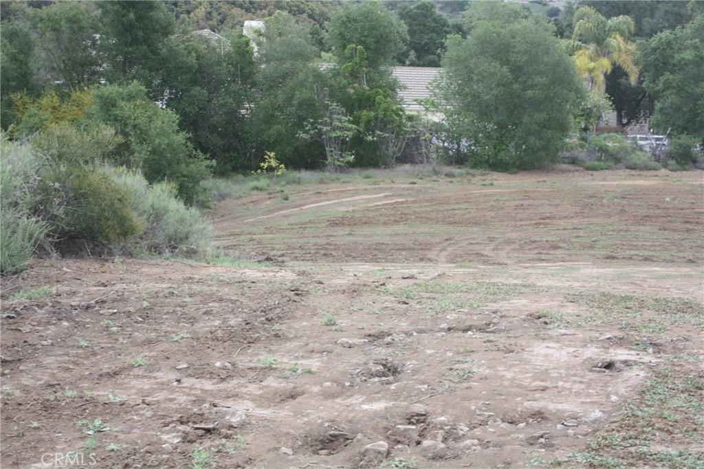 MLS #IV25090600 image #19