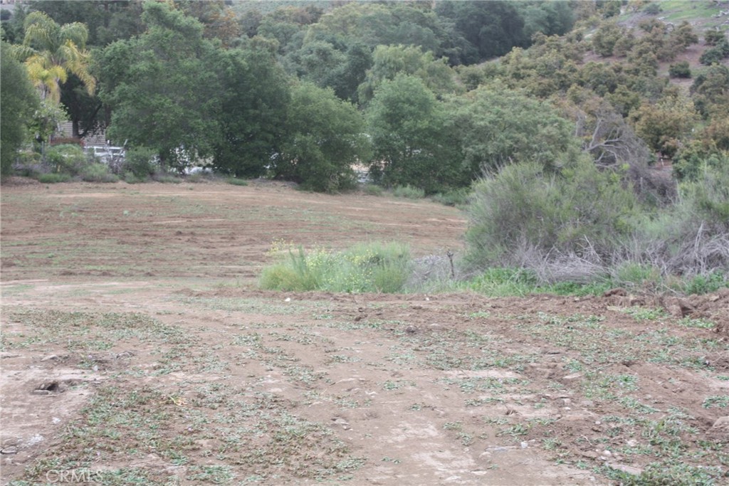 MLS #IV25090600 image #20