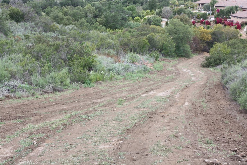 MLS #IV25090600 image #21