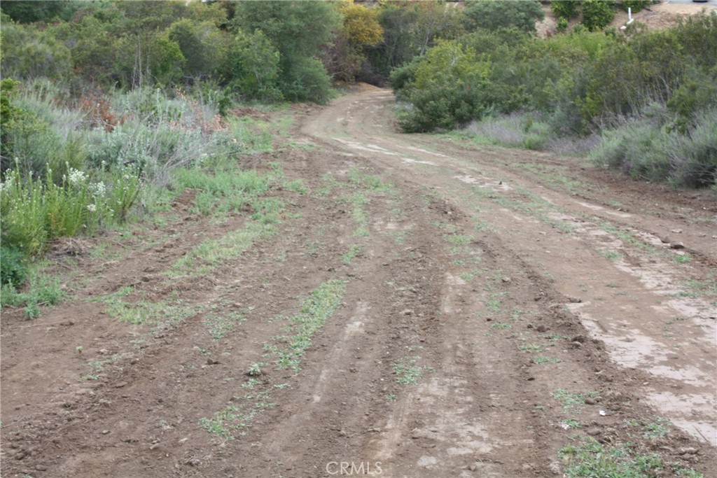 MLS #IV25090600 image #24